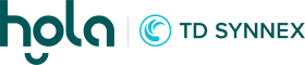TD SYNNEX